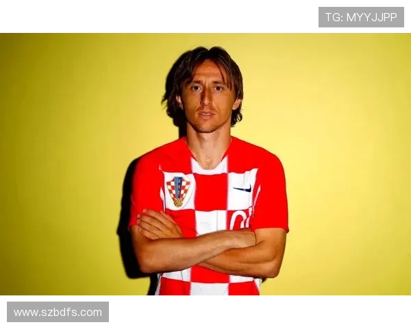 冰岛足球明星11号的传奇之路与背后故事揭秘