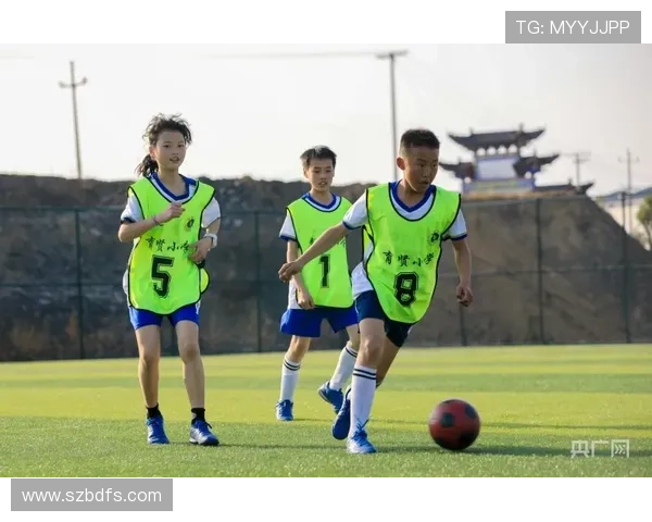 足球明星布鲁林的传奇之路与他在绿茵场上的辉煌成就解析