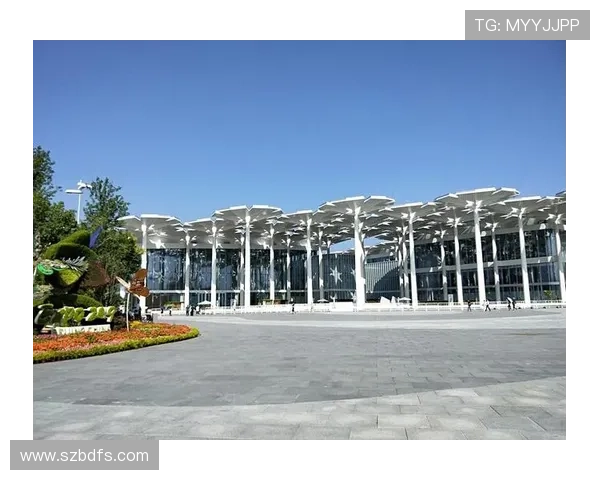 个性化足球之旅：那些可以印名字的足球明星与他们的故事